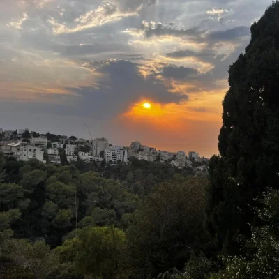 WhatsApp Image 2025-11-19 at 11.56.50 (1)