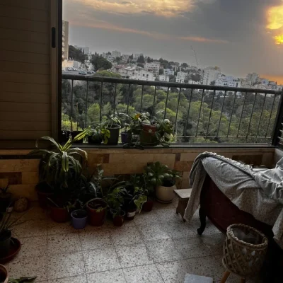 WhatsApp Image 2025-11-19 at 11.56.52 (2)