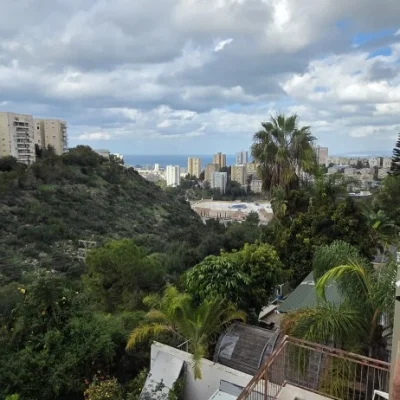 WhatsApp Image 2026-01-04 at 11.01.08 (1)