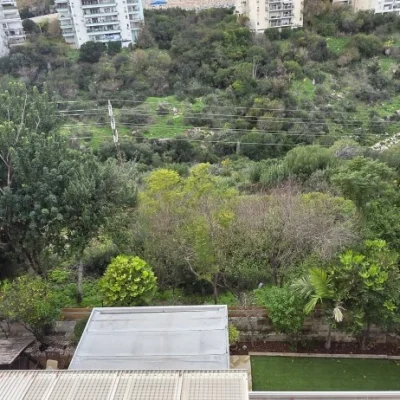 WhatsApp Image 2026-01-04 at 11.01.09