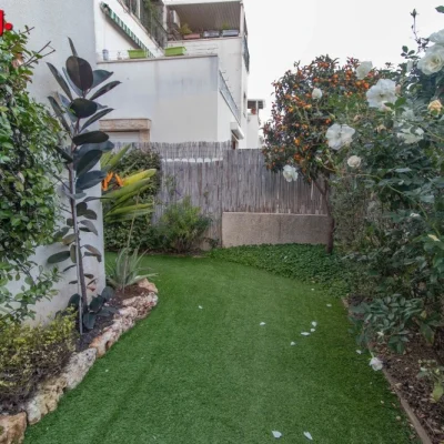 WhatsApp Image 2026-02-11 at 14.13.25